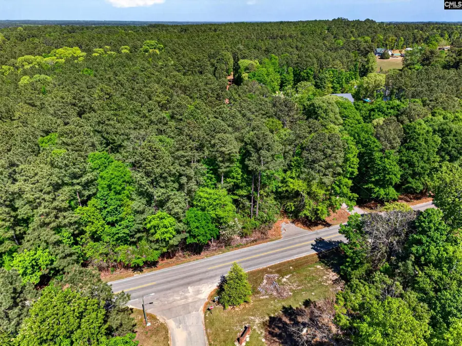 219 Juniper Springs Road #PARCEL A &B, Gilbert, SC 29054 - #2