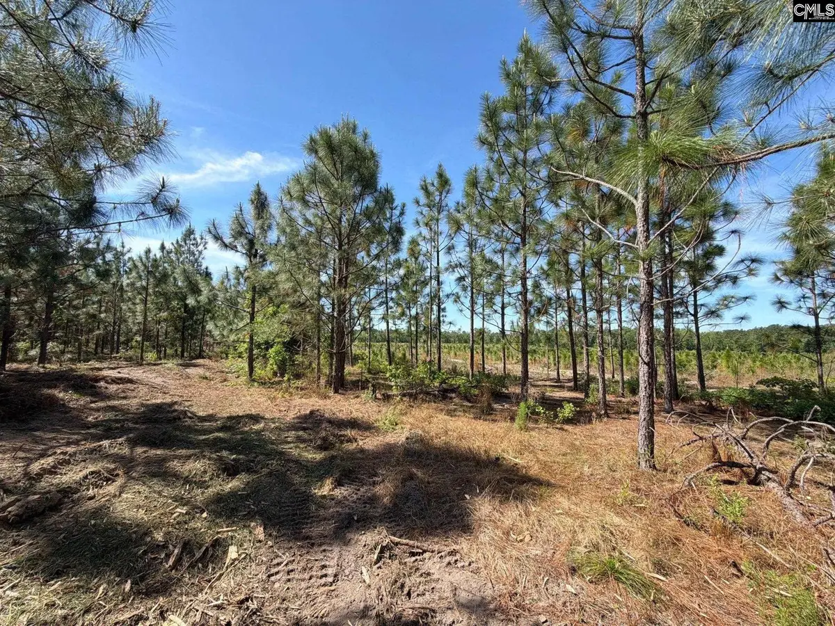 HRF 3 Holstein Road, Wagener, SC 29164 - #1