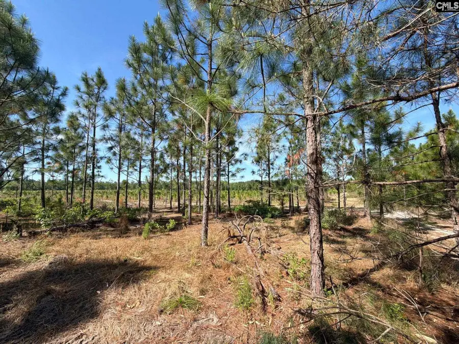 HRF 3 Holstein Road, Wagener, SC 29164 - #2