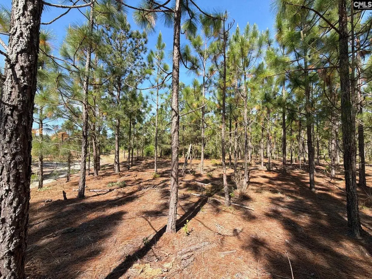 HRF 4 Holstein Road, Wagener, SC 29164 - #1