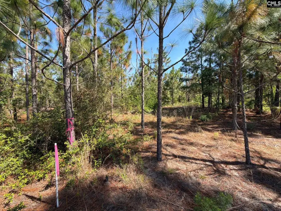 HRF 4 Holstein Road, Wagener, SC 29164 - #3