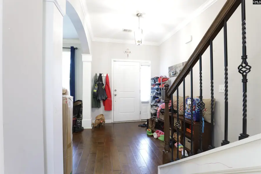 425 Maria Posada Court, Chapin, SC 29036 - #3