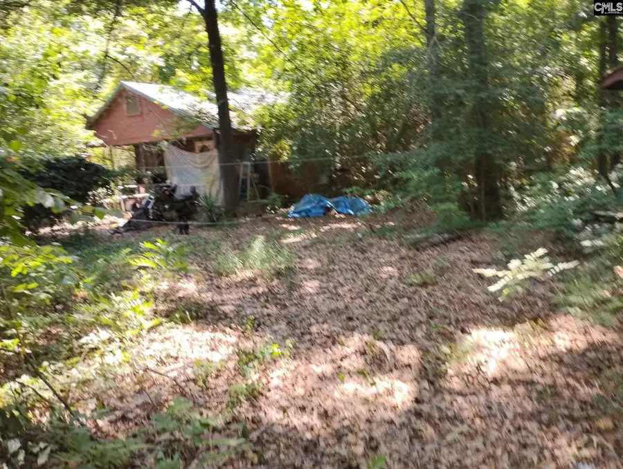 110 Love Lane, Orangeburg, SC 29115 - #3