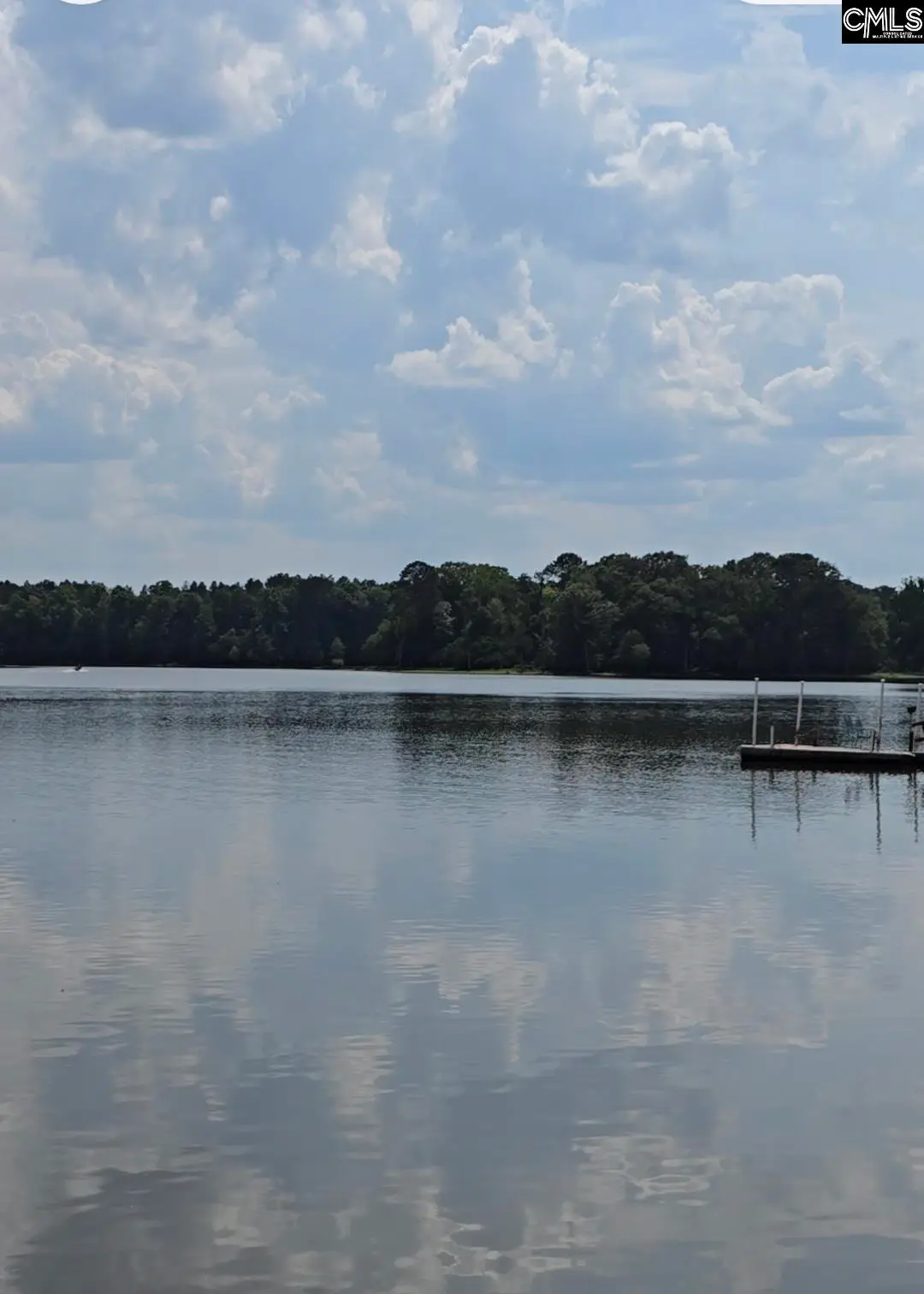 1193 Harvest Road, North Saluda, SC 29139 - #1