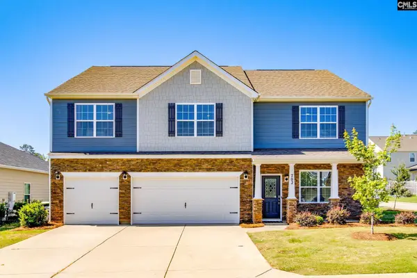702 Autumn Shiloh Drive, Chapin, SC 29036