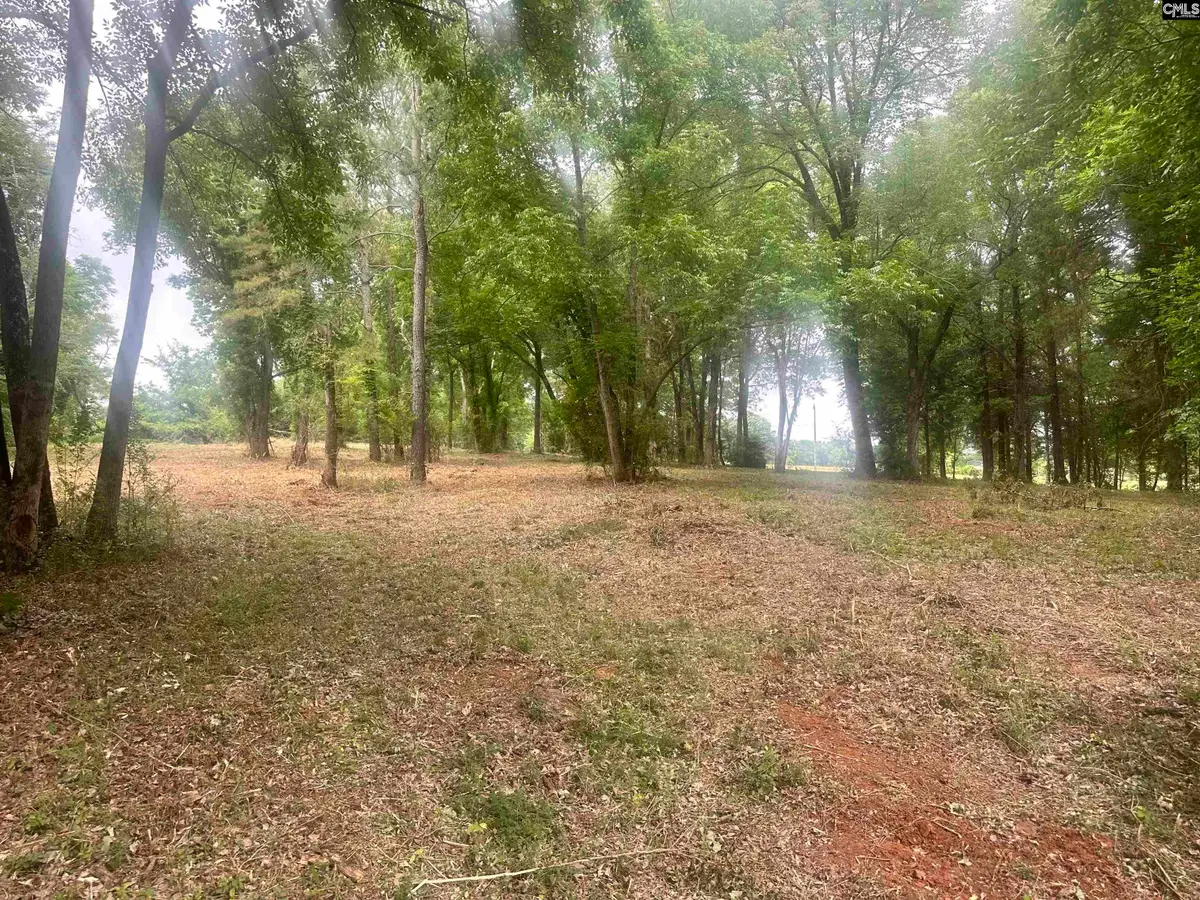 0 Hwy 202 Highway, Little Mountain, SC 29075 - #1