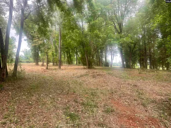 0 Hwy 202 Highway, Little Mountain, SC 29075