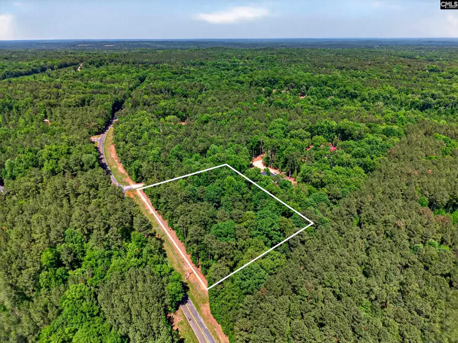1339 Jake Eargle Road, Little Mountain, SC 29075 - #3