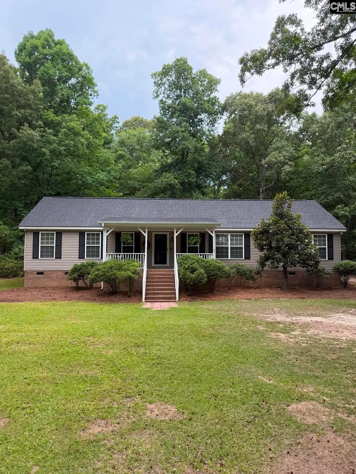 1043 Eau Claire Drive, Chapin, SC 29036 - #1