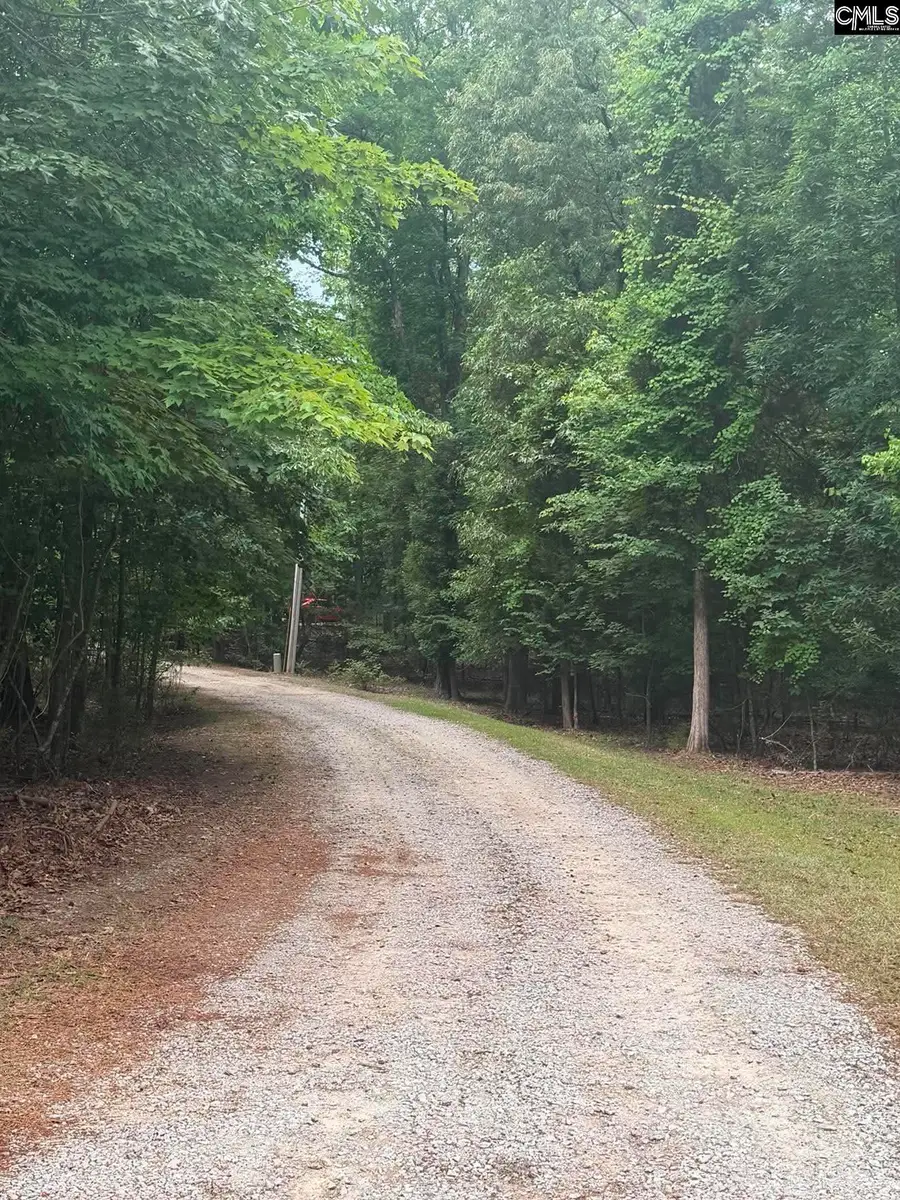 1043 Eau Claire Drive, Chapin, SC 29036 - #3