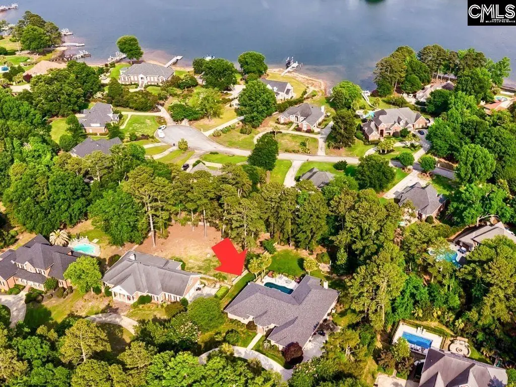 1112 Morning Shore Drive, Lexington, SC 29072 - #1