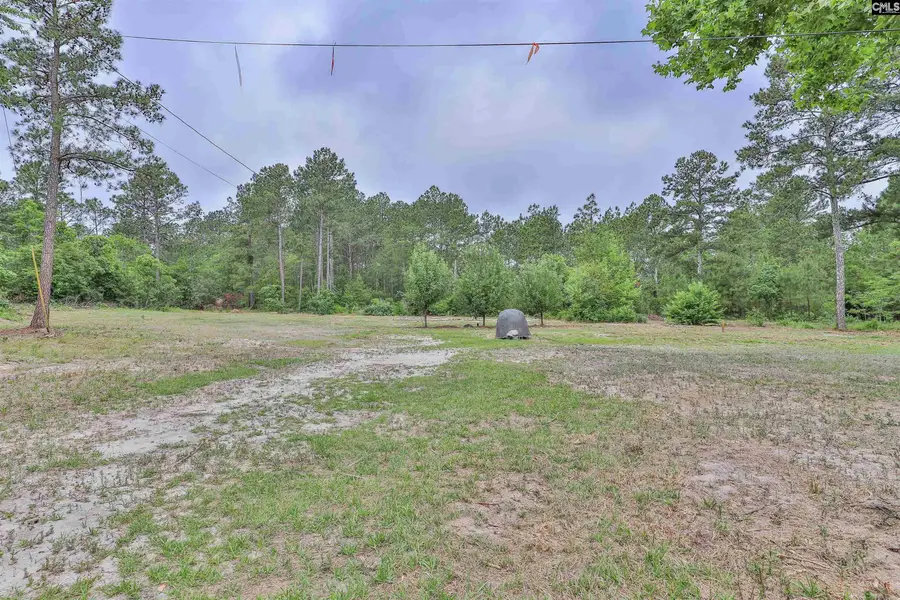 3209 Old Charleston Road, Gilbert, SC 29054 - #3