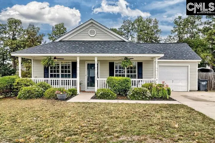 281 Double Eagle Circle, Lexington, SC 29073 - #1