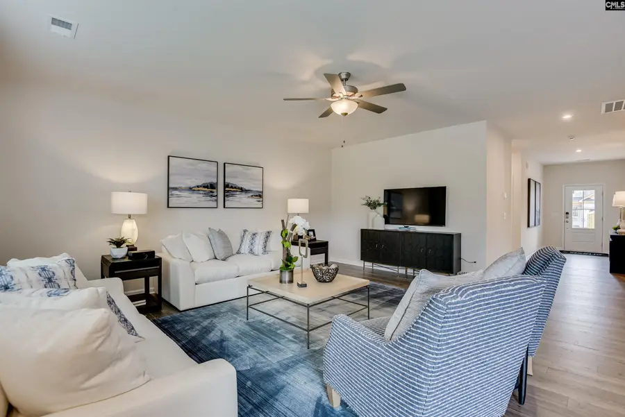 611 Basalt Court, Chapin, SC 29036 - #2