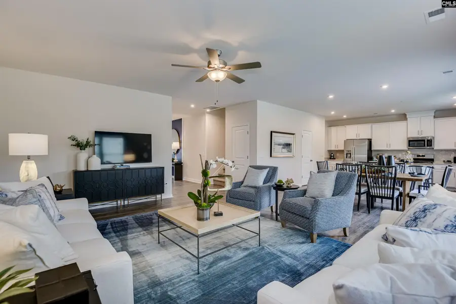 611 Basalt Court, Chapin, SC 29036 - #3