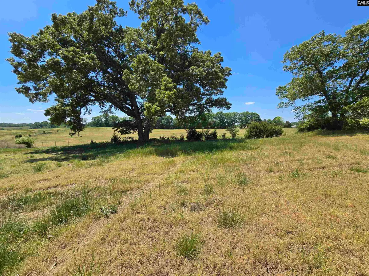 542 Pea Ridge Highway, Jonesville, SC 29353 - #1