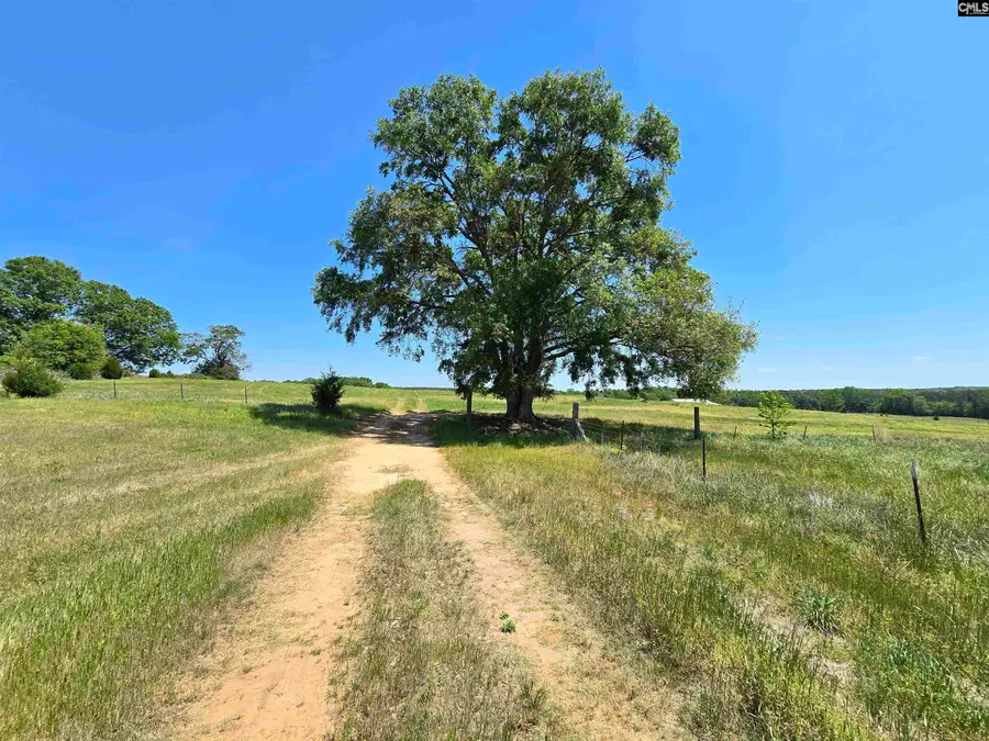 542 Pea Ridge Highway, Jonesville, SC 29353 - #2