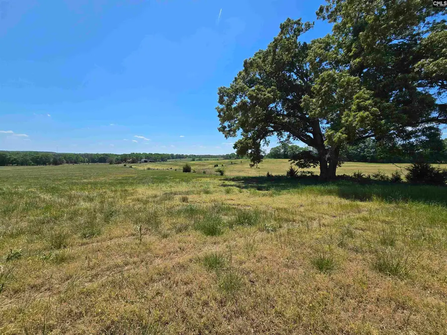 542 Pea Ridge Highway, Jonesville, SC 29353 - #3