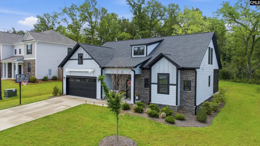 149 Collins Cove Drive, Chapin, SC 29036 - #3