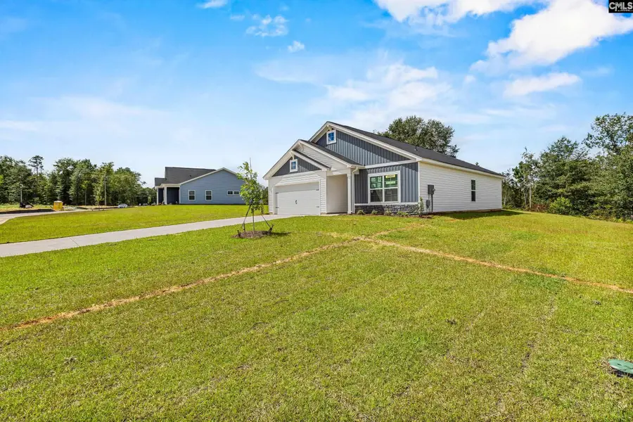 172 Calm Citadel Drive, Pelion, SC 29123 - #2