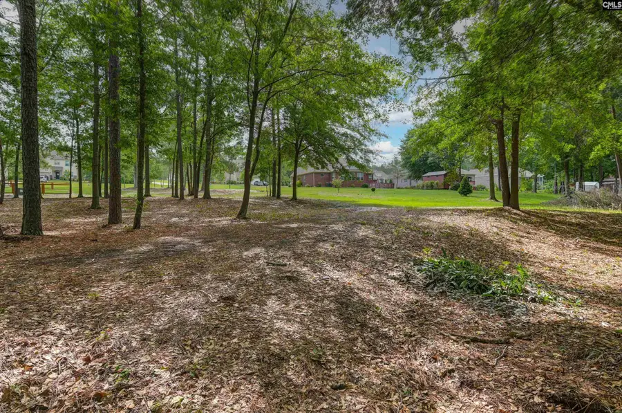120 Living Waters Boulevard, Lexington, SC 29073 - #3