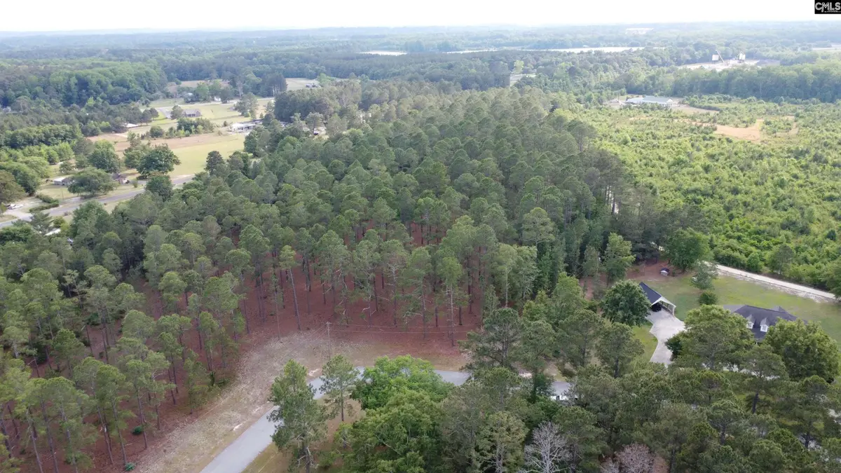 0 Little Creek Drive, Leesville, SC 29070 - #1