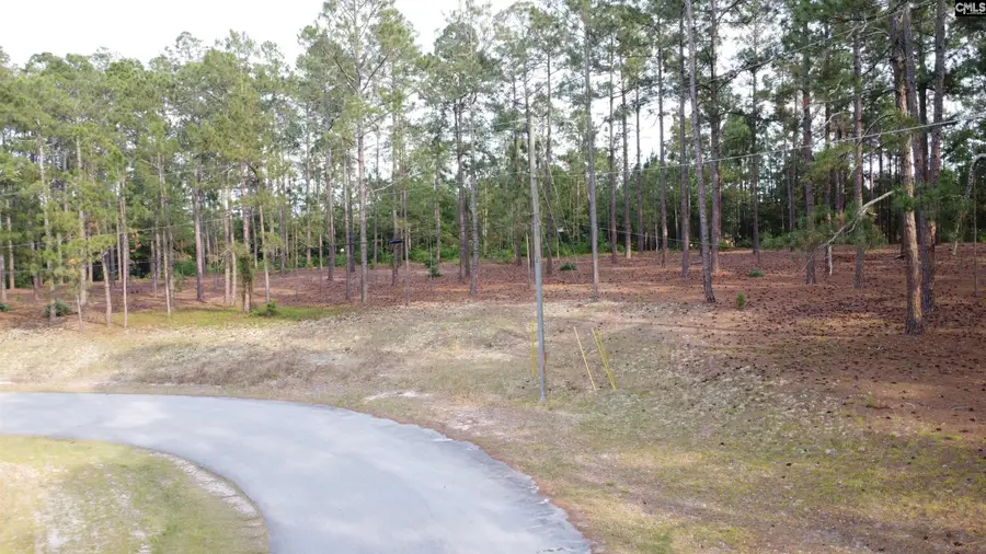 0 Little Creek Drive, Leesville, SC 29070 - #3