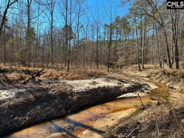 River Road, Winnsboro, SC 29180