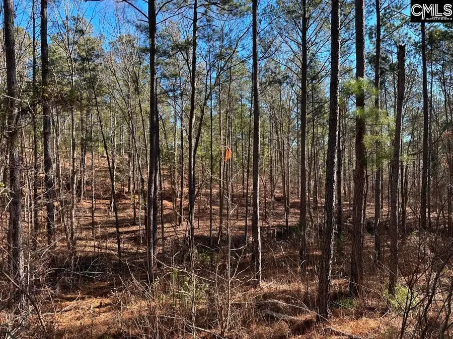 River Road, Winnsboro, SC 29180 - #3