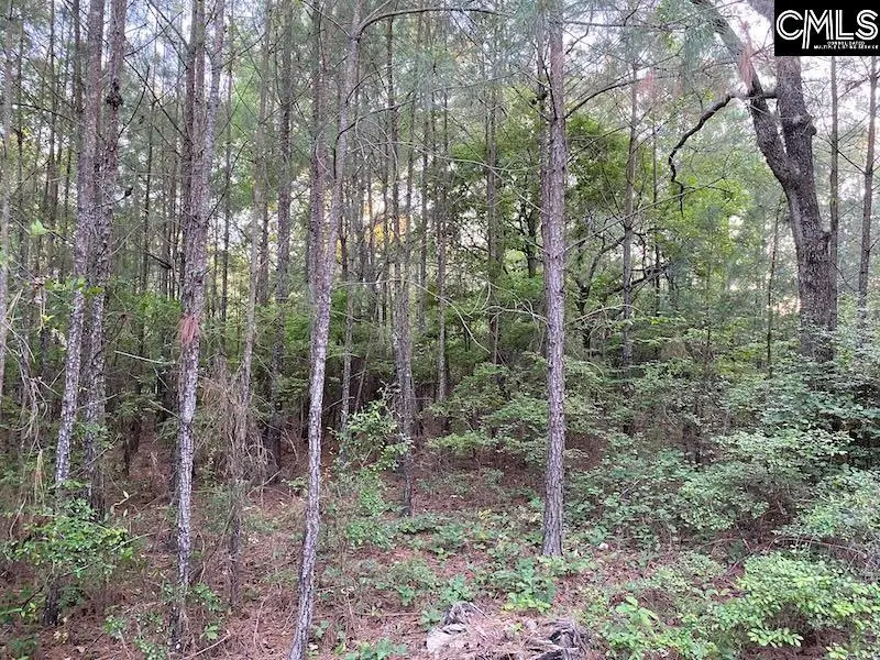 1155 Jones Wire Road, Swansea, SC 29160 - #3