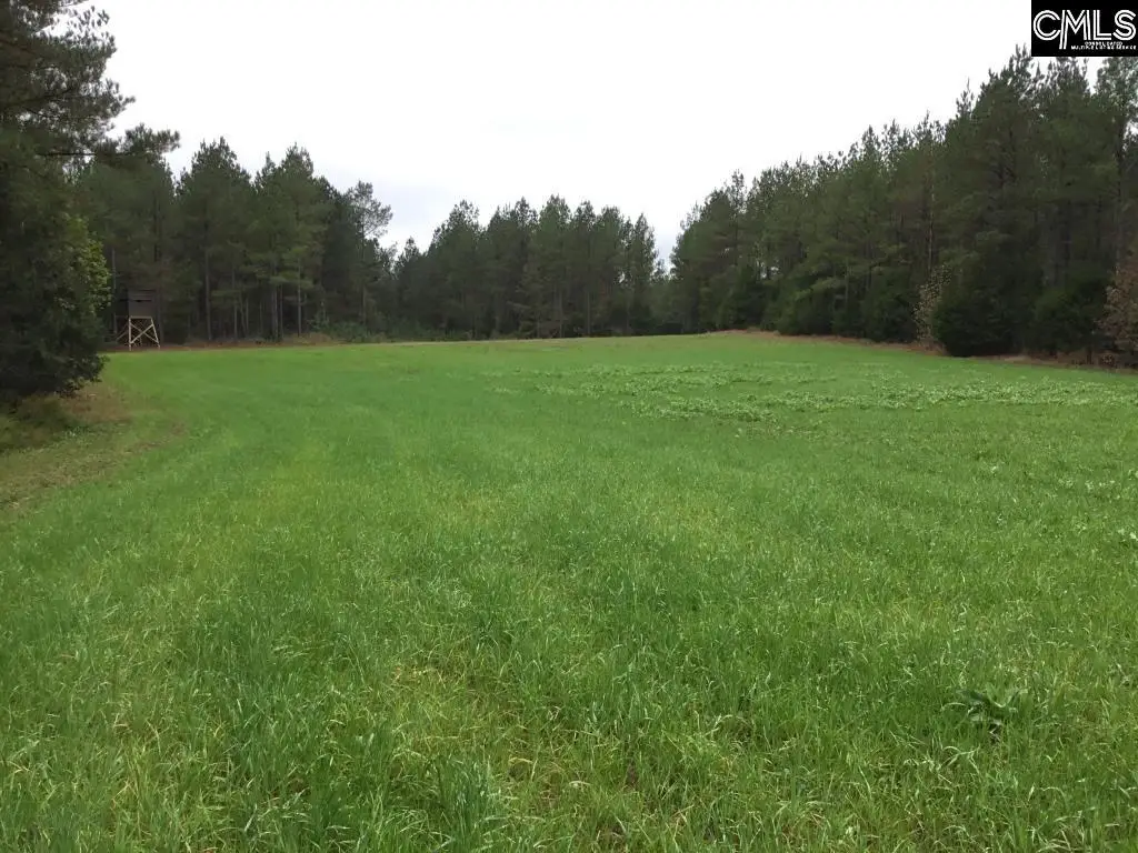Old Cherokee Road, Blair, SC 29015 - #1
