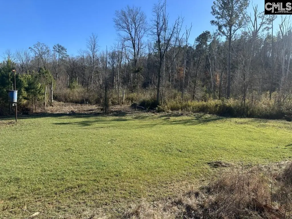 Mobley Highway, Winnsboro, SC 29180 - #1