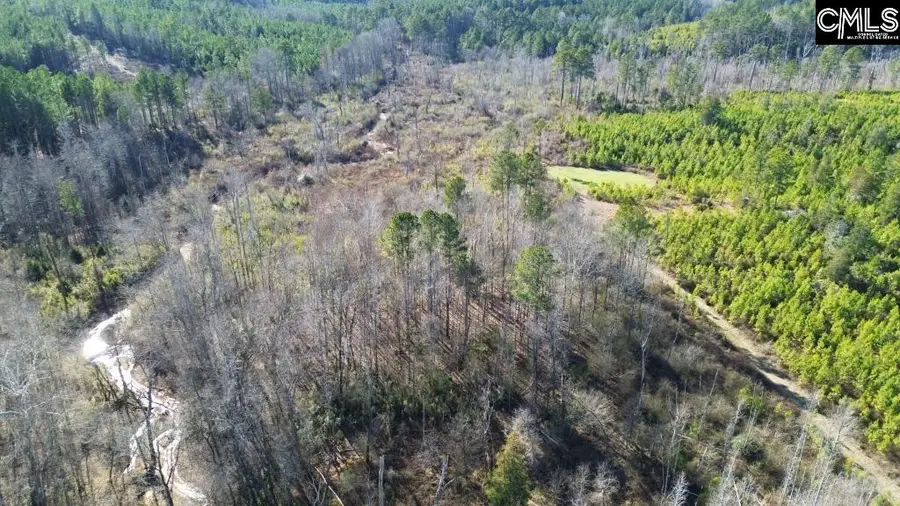 Mobley Highway, Winnsboro, SC 29180 - #2