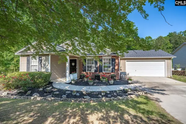 559 Foxstone Drive, Chapin, SC 29036