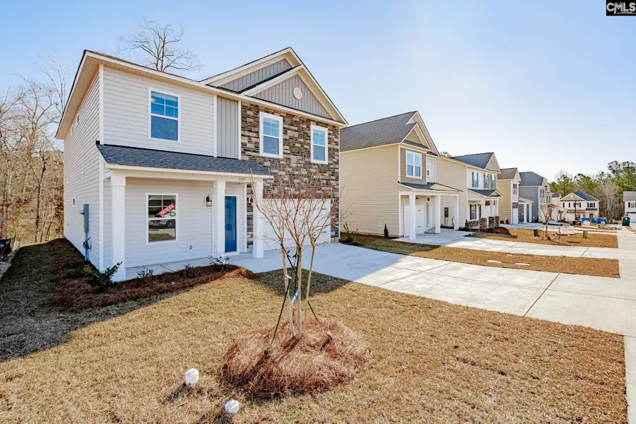 239 Honey Hill Way, Blythewood, SC 29016 - #3