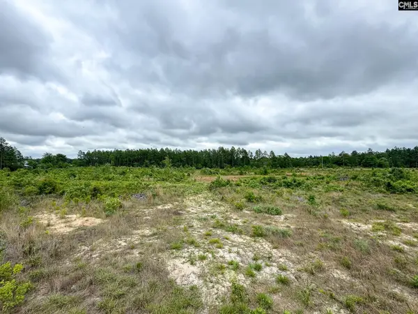 0 Neely Wingard Road #Lot 1, Gilbert, SC 29054