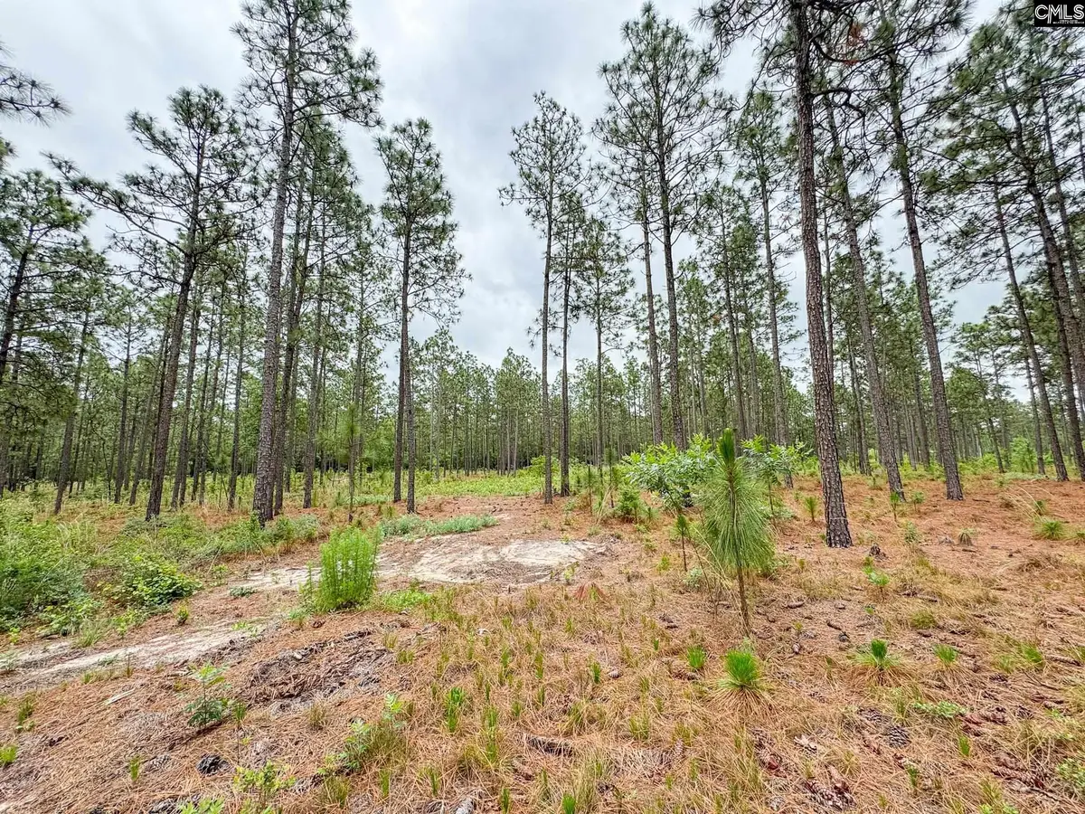 0 Neely Wingard Road #Lot 3, Gilbert, SC 29054 - #1