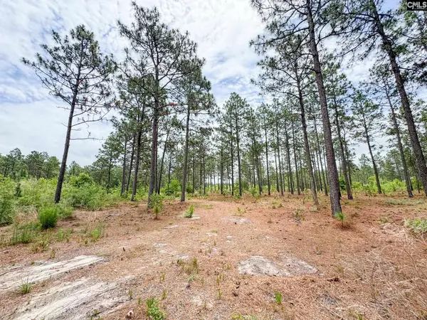 0 Neely Wingard Road #Lot 4, Gilbert, SC 29054