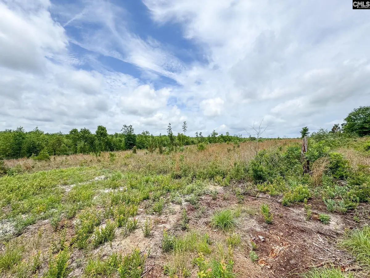 0 Neely Wingard Road #Lot 7, Gilbert, SC 29054 - #1