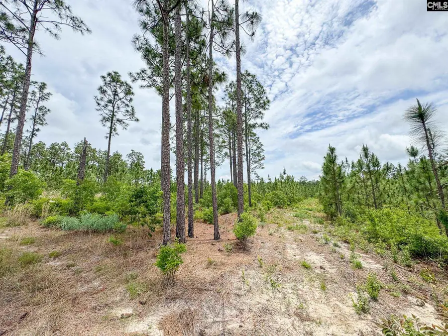 0 Neely Wingard Road #Lot 7, Gilbert, SC 29054 - #3