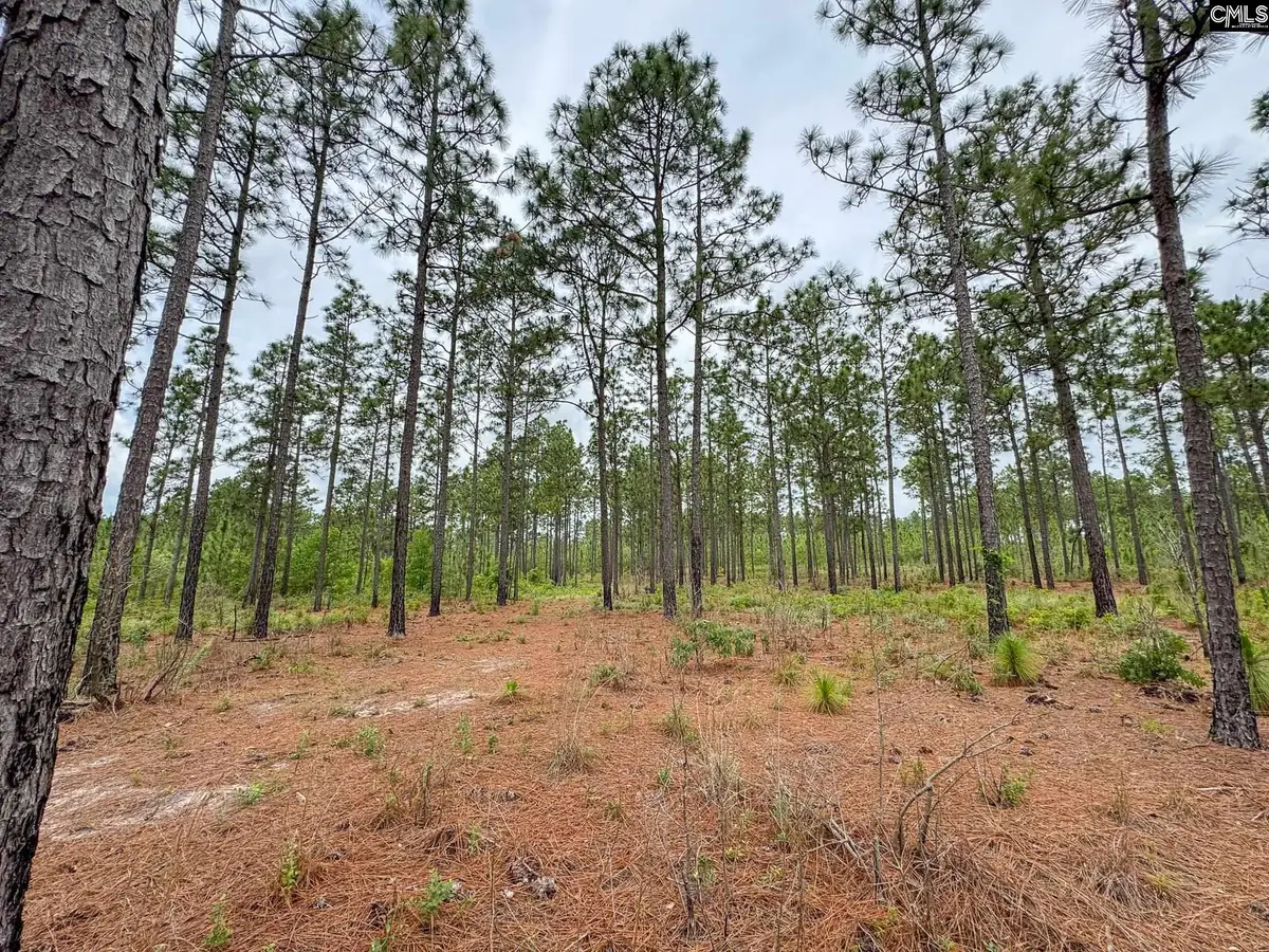 0 Neely Wingard Road #Lot 10, Gilbert, SC 29054 - #1