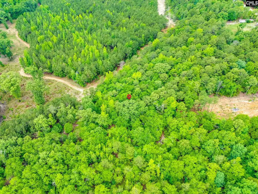 612 Toms Creek Road, Hopkins, SC 29061 - #2