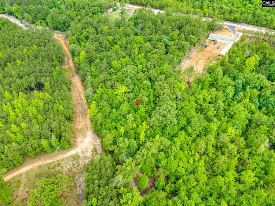 612 Toms Creek Road, Hopkins, SC 29061 - #3