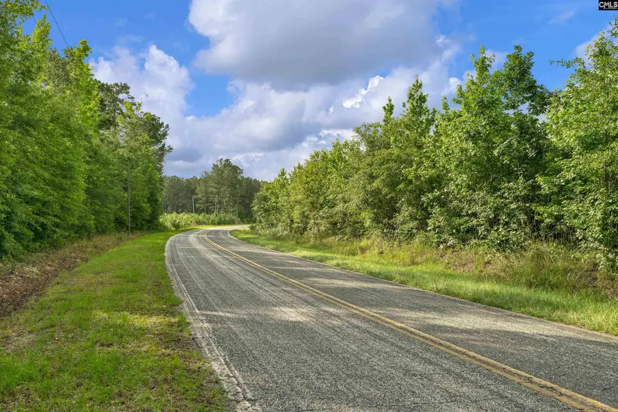 0000 N Brewington Road #10, Manning, SC 29102 - #2