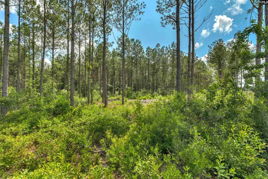 0000 N Brewington Road #10, Manning, SC 29102 - #3