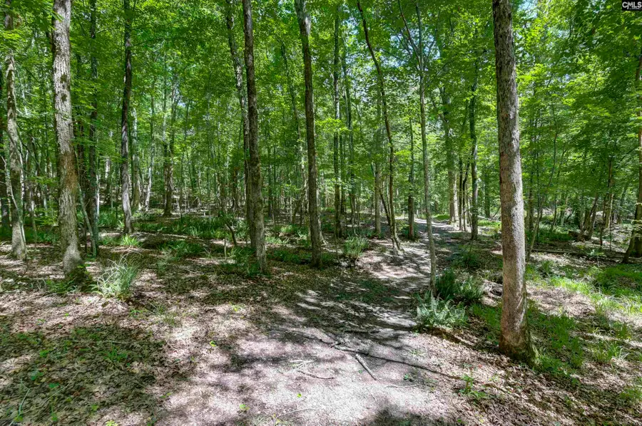 Fulmer Road, Blythewood, SC 29016 - #2