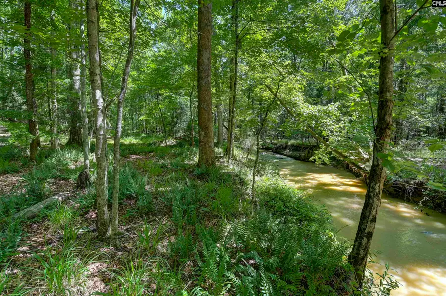 Fulmer Road, Blythewood, SC 29016 - #3