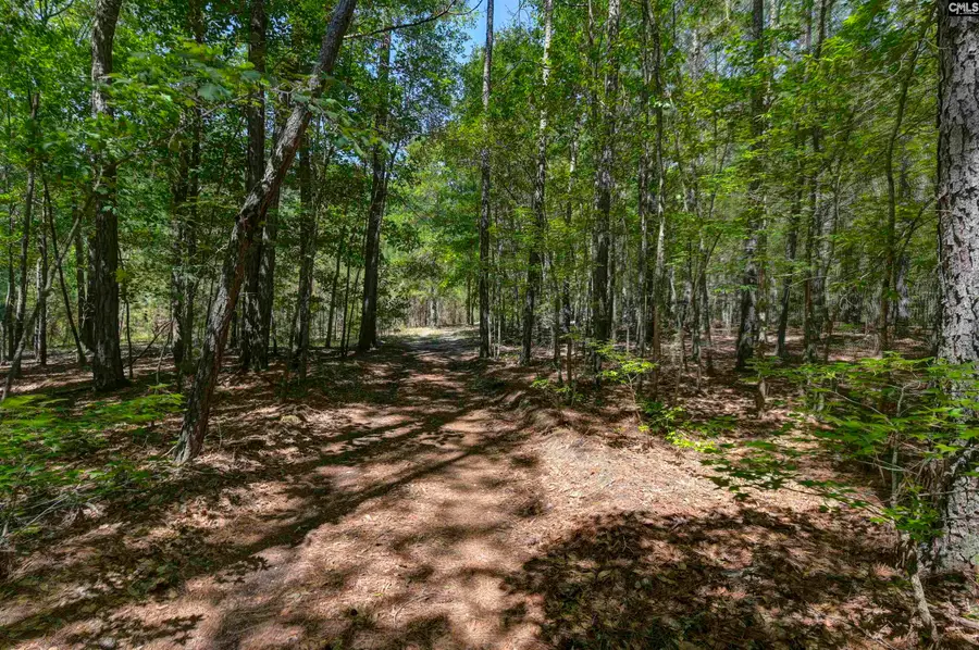 Bright Myers Road, Blythewood, SC 29016 - #3