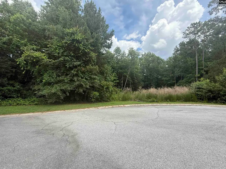 243 Fair Ridge Lane, Blythewood, SC 29016 - #3
