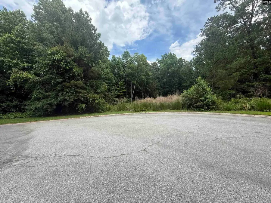 239 Fair Ridge Lane, Blythewood, SC 29016 - #3